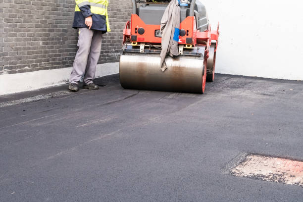 Best Driveway Maintenance Services  in Fort Hunt, VA